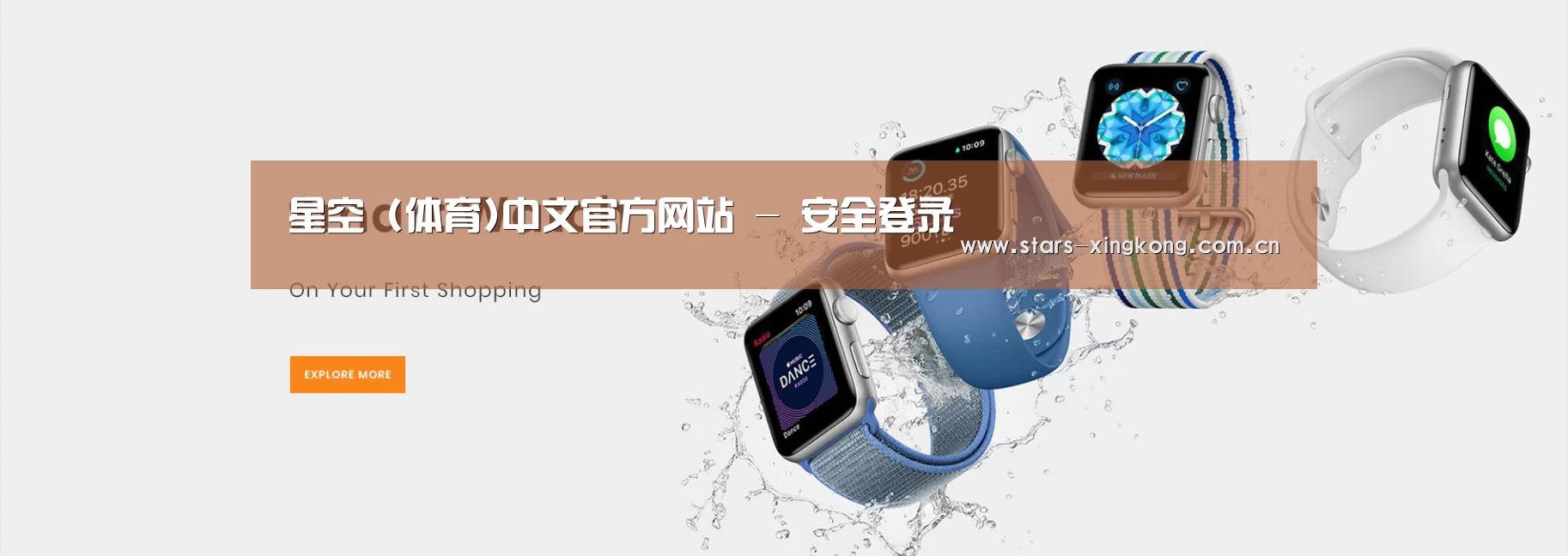 某某网络科技有限公司