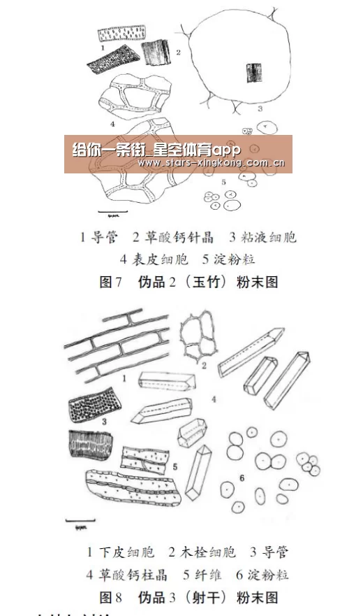 星空体育app