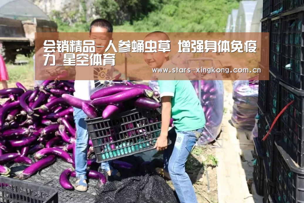 会销精品-人参蛹虫草 增强身体免疫力_星空体育(图4) 星空体育直播