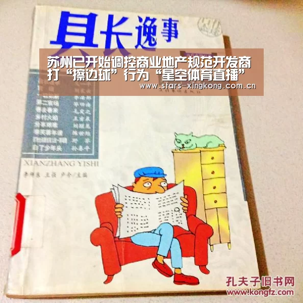 苏州已开始调控商业地产规范开发商打“擦边球”行为“星空体育直播”(图1) 星空体育app