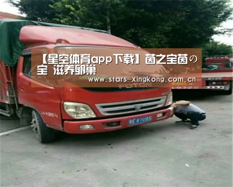 【星空体育app下载】茵之宝茵の宝 滋养卵巢(图1) 星空体育直播
