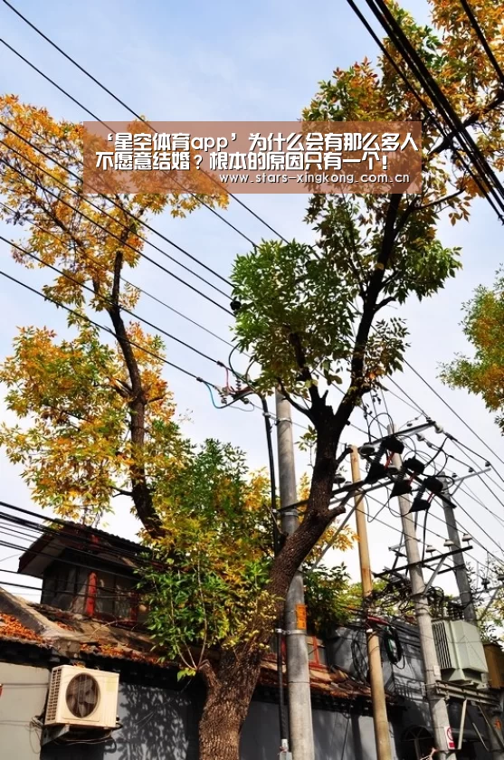 ‘星空体育app’为什么会有那么多人不愿意结婚?根本的原因只有一个!(图4) 星空体育app