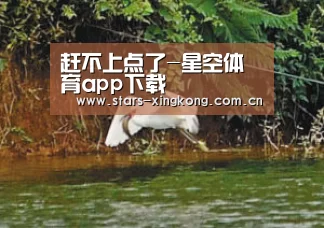 星空体育app
