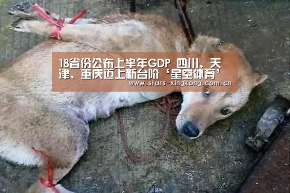 18省份公布上半年GDP 四川、天津、重庆迈上新台阶‘星空体育’(图4) 星空体育app