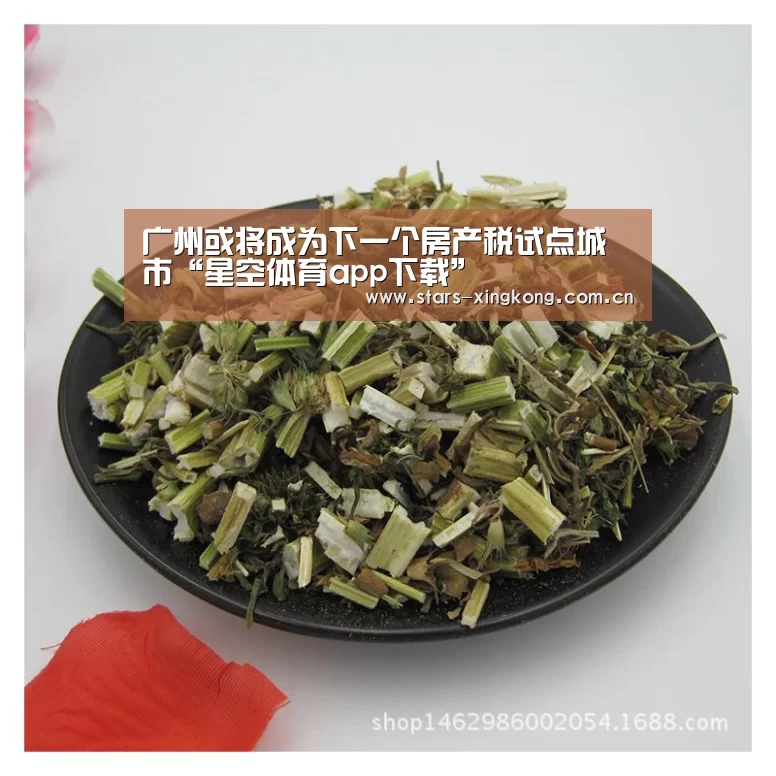广州或将成为下一个房产税试点城市“星空体育app下载”(图3) 星空体育
